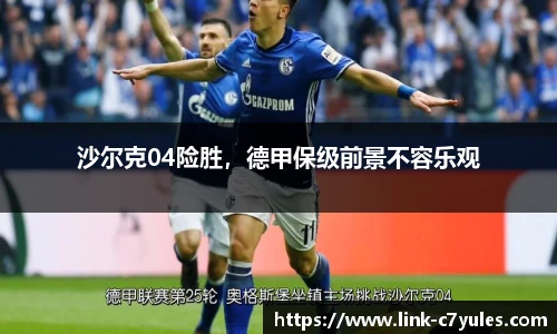 沙尔克04险胜，德甲保级前景不容乐观