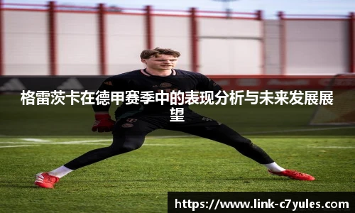 格雷茨卡在德甲赛季中的表现分析与未来发展展望